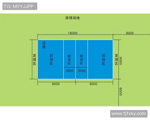 广州排球队技术表现深度分析与数据解读探讨
